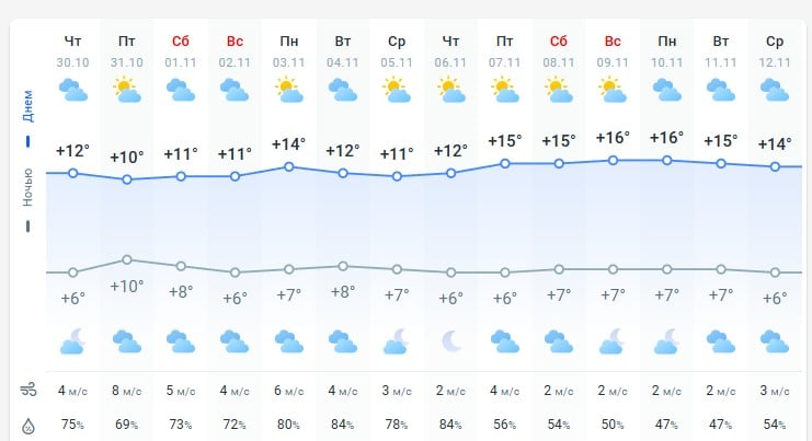 погода 31 октября  погода 31 октября