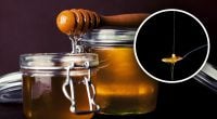 Чи можна гріти мед: шеф-кухар вразив неочікуваною відповіддю