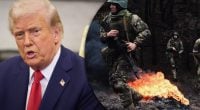 "На підході": Трамп зробив гучну заяву щодо завершення війни в Україні