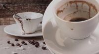 Чи можна заварювати каву двічі: стала відома неочікувана відповідь