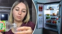 Неприємний запах зникне з холодильника за три години: що треба зробити