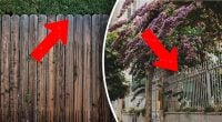Українців почали штрафувати за паркани в селі – можна влетіти на кругленьку суму