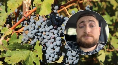 Як правильно сказати 'гроздь' українською: знайдено красивий варіант Як правильно сказати 'гроздь' українською: знайдено красивий варіант