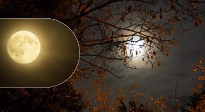 Повний місяць Повний місяць