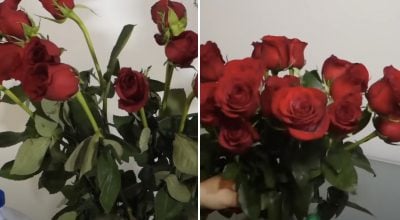 Як оживити троянди у вазі Як оживити троянди у вазі
