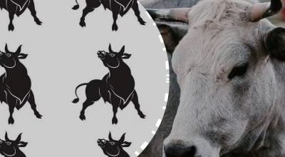 Знайти неправильного бика - цікава головоломка Знайти неправильного бика - цікава головоломка