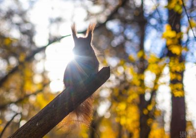 Без дощів і без снігу: синоптик сказала, що скоро в Україні пригріє сонце