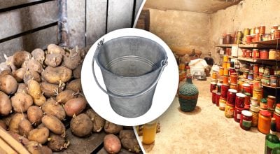 Як позбутися вологи в погребі: простий "бабусин" лайфхак, який працює