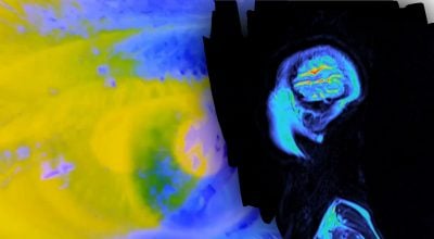 У всіх людей однаково — вчені розкрили, скільки важить душа і як вона виглядає
