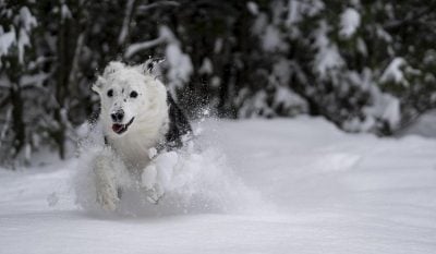 погода погода