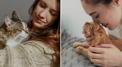 Кот Кот