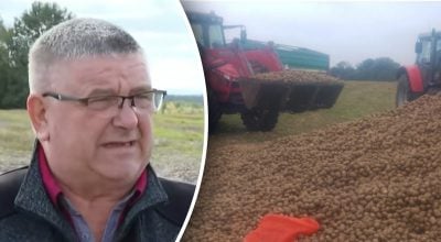 150 тонн картоплі зникли: дивний пост у Мережі позбавив фермера врожаю