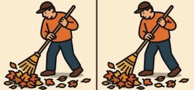 Тест на IQ: найдите 3 отличия на картинках дворника за 49 секунд