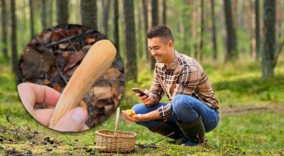 Вигляд дивує багатьох: в Україні знайшли незвичний, але дуже рідкісний гриб