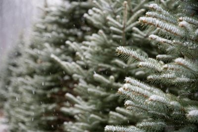 Погода погіршиться, піде сніг: синоптики дали новий прогноз
