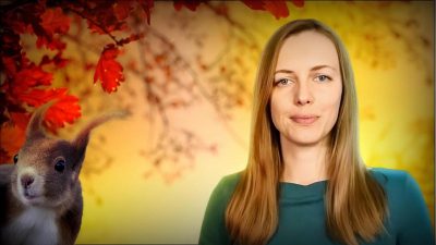 Погода на листопад в Україні прогноз Погода на листопад в Україні прогноз