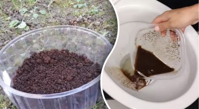 Ученые призвали не выливать кофе в унитаз - в чем причина и какая альтернатива Ученые призвали не выливать кофе в унитаз - в чем причина и какая альтернатива