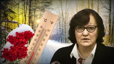 Україну накриє різке похолодання і налетить сніг: синоптик Мартазінова назвала дати небезпечної погоди