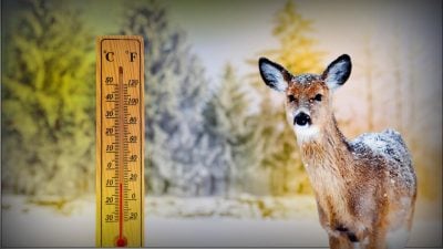 Погода в Україні різко зміниться: у листопаді атакує мороз, сніг і новий сюрприз