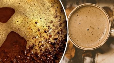 Чому не можна зливати каву в раковину Чому не можна зливати каву в раковину