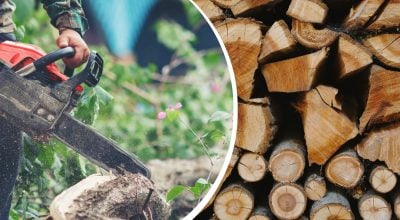 Українцям розповіли, де можна законно заготовляти дрова на зиму, щоб не отримати штраф