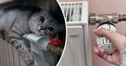 Без радіаторів і розеток: один хитрий трюк реально обігріє весь будинок