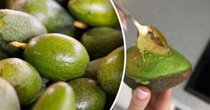 Потрібно лише 15 секунд: секретний трюк, як зробити авокадо ідеально м'яким