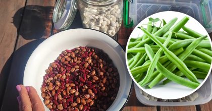 Хитрість, про яку не пишуть у кулінарних блогах: як правильно зберігати квасолю
