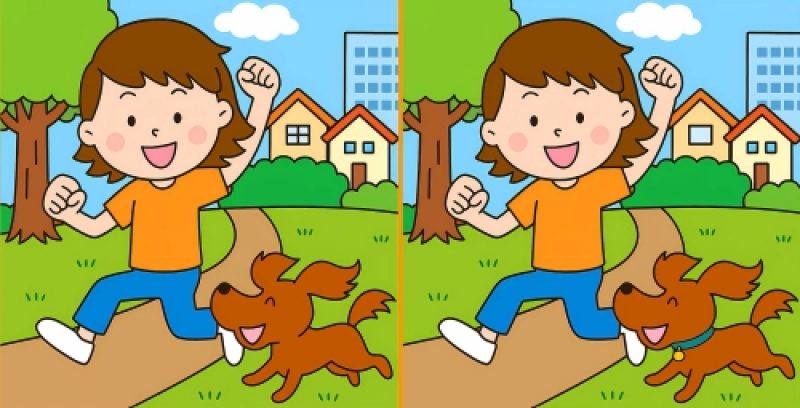 Тест на IQ: знайдіть 3 відмінності на зображенні дівчини з собакою за 59 секунд