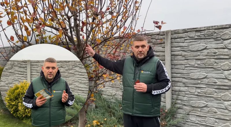 Зимний сон без вредителей: эффективные методы обработки сада после опадения листьев