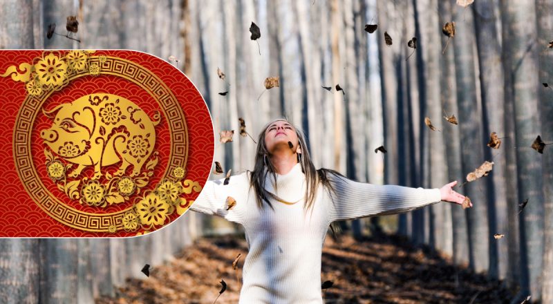 Подарок Вселенной: каких знаков зодиака ждет счастливый момент 9 октября