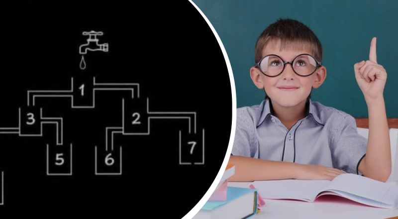 Найти правильную чашку: школьная головоломка, которую решают только 1% людей