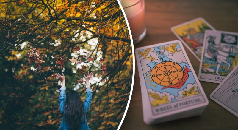 Гороскоп Таро на неделю с 13 по 19 октября: Весам - перемены, Девам - возможность