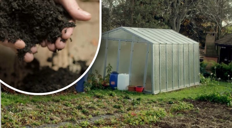 Тепличний ґрунт "оживе" за тиждень: простий натуральний засіб, який працює