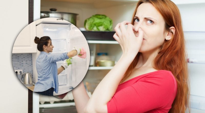 Як позбутися неприємних запахів у холодильнику раз і назавжди: простий лайфхак