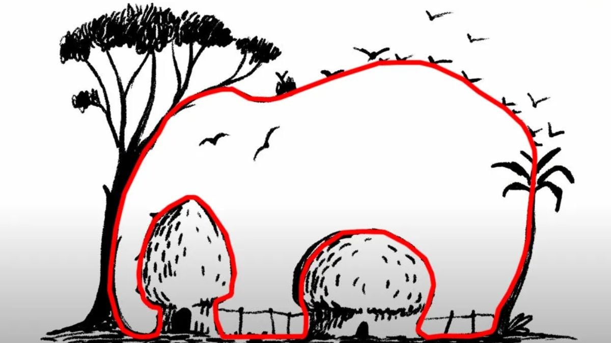 Рішення оптичної ілюзії Рішення оптичної ілюзії