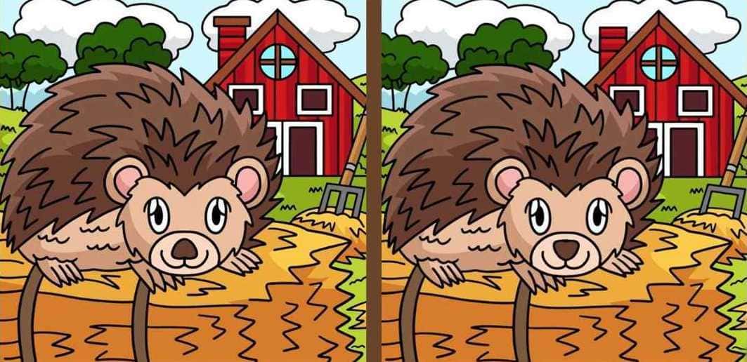 головоломка