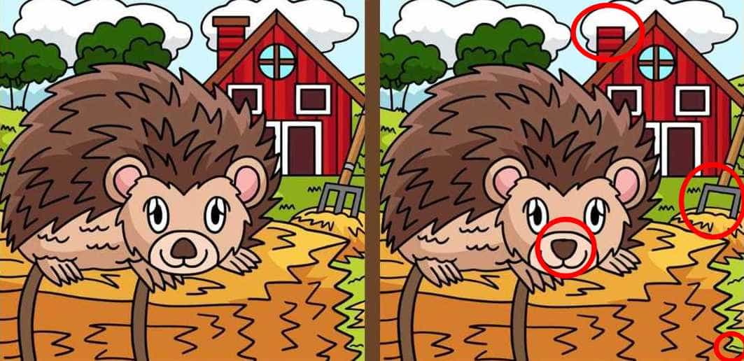 головоломка