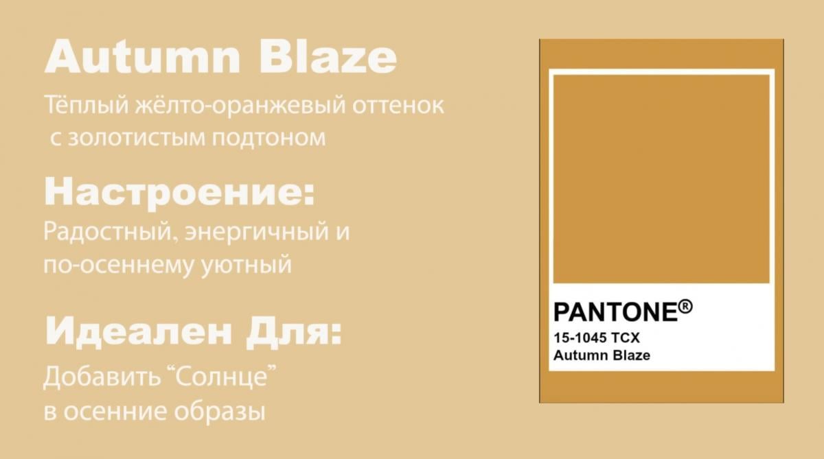 Скриншот Скриншот