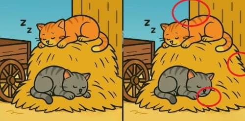 головоломка головоломка