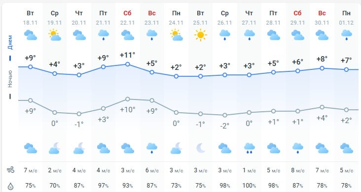 погода 19 ноября 