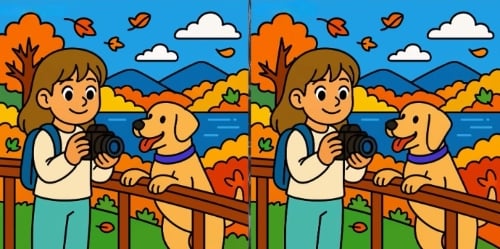 головоломка