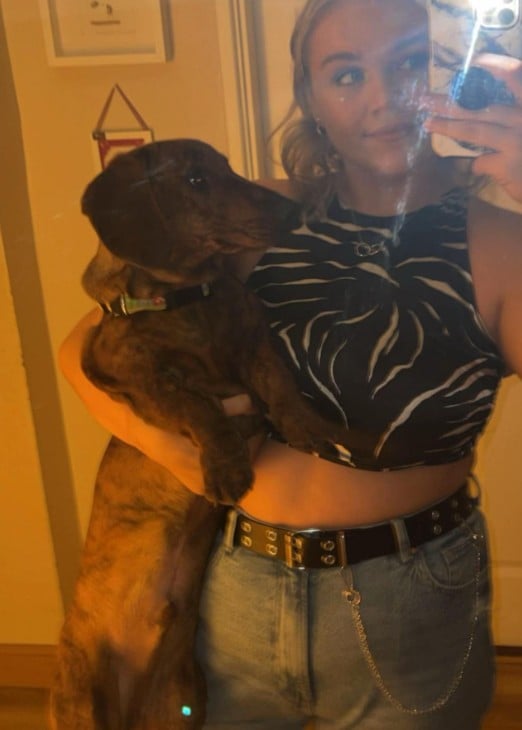 Так зараз виглядає такса Вінстон