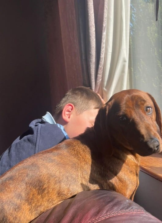 Так зараз виглядає такса Вінстон