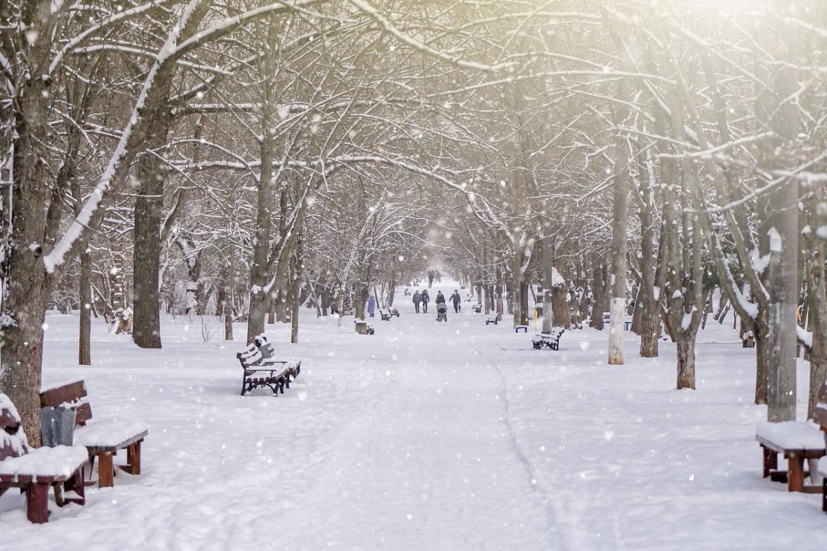 Коли очікувати на мороз в Україні