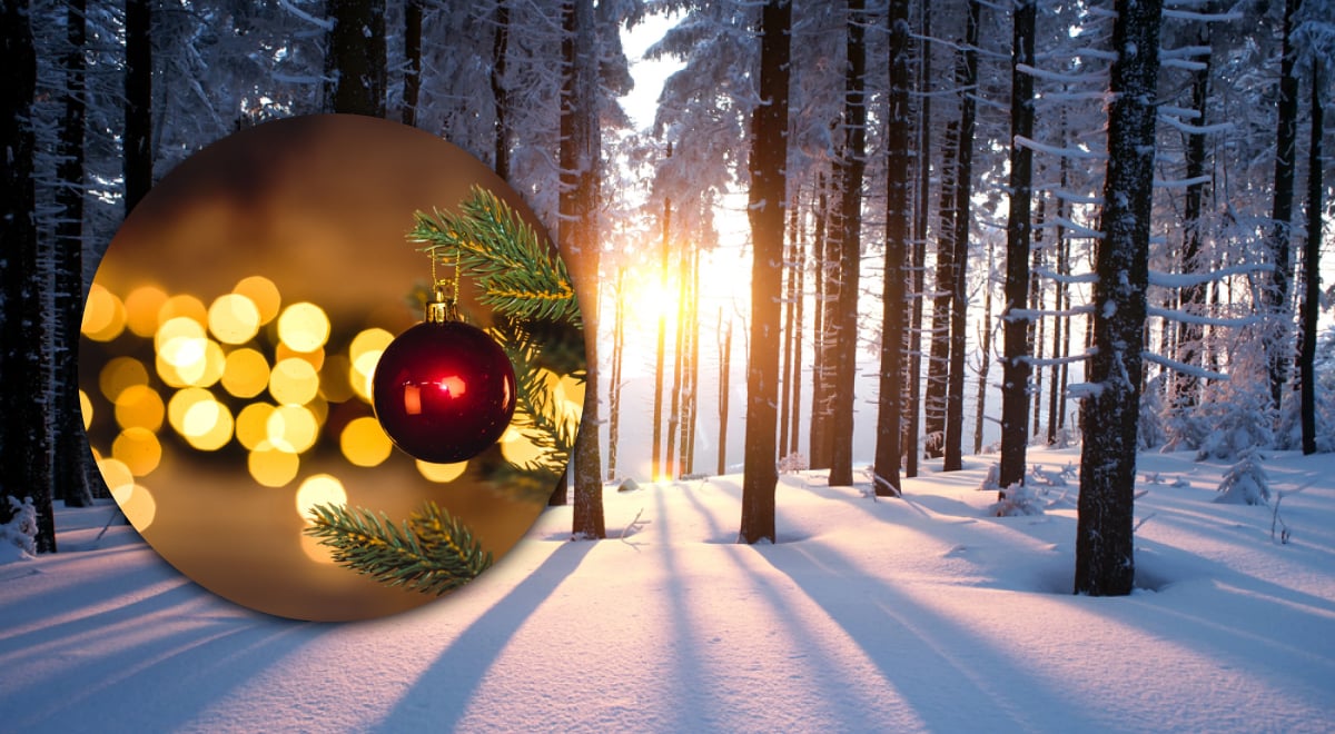 Новый год 2026