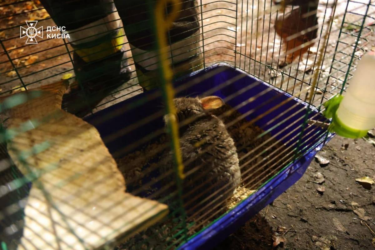 Наслідки атаки на Київ Наслідки атаки на Київ