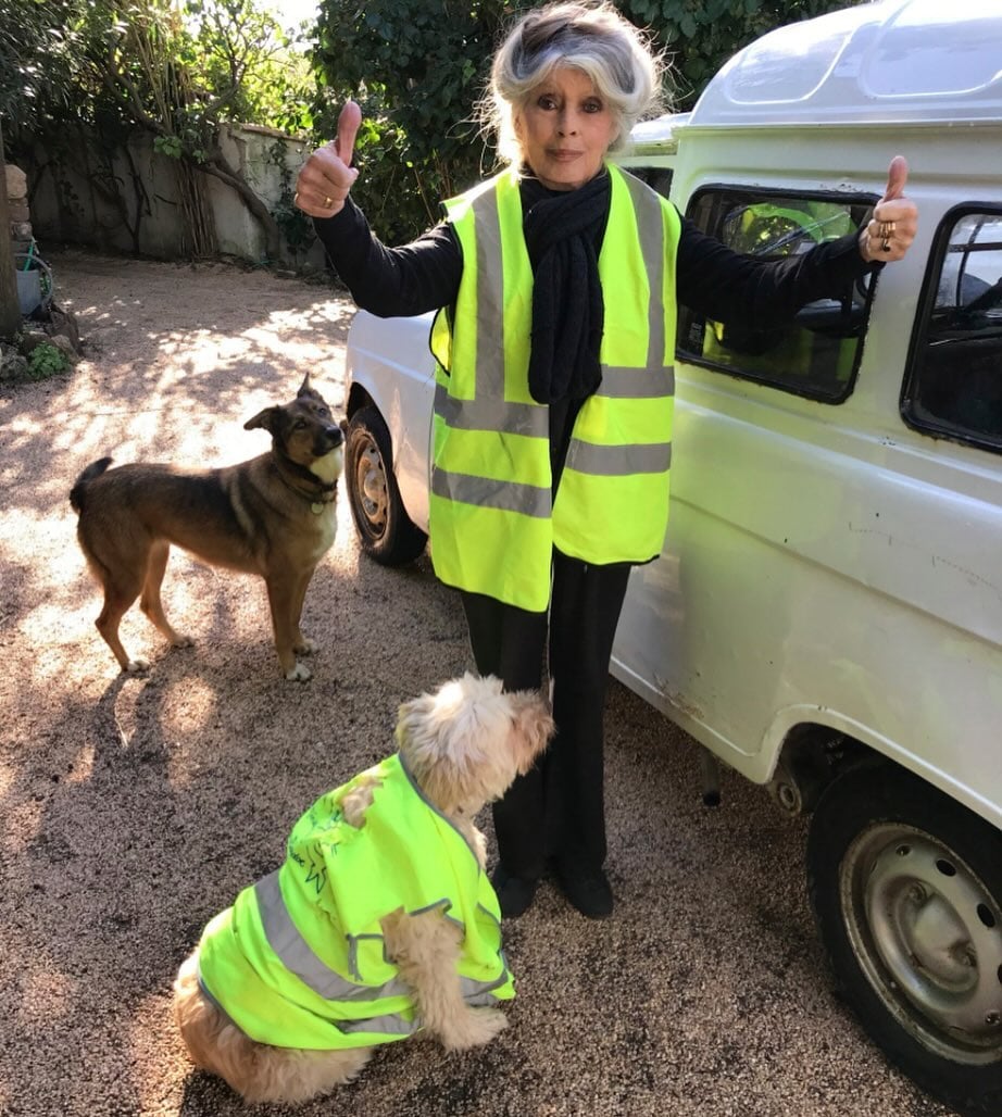 Бріджит Бардо