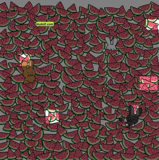 Складний тест на IQ для геніїв: знайдіть п’ять кавунів без кісточок за 15 секунд