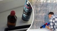 Як утеплити вікна, щоб не дуло взимку: знайдено дешевий спосіб